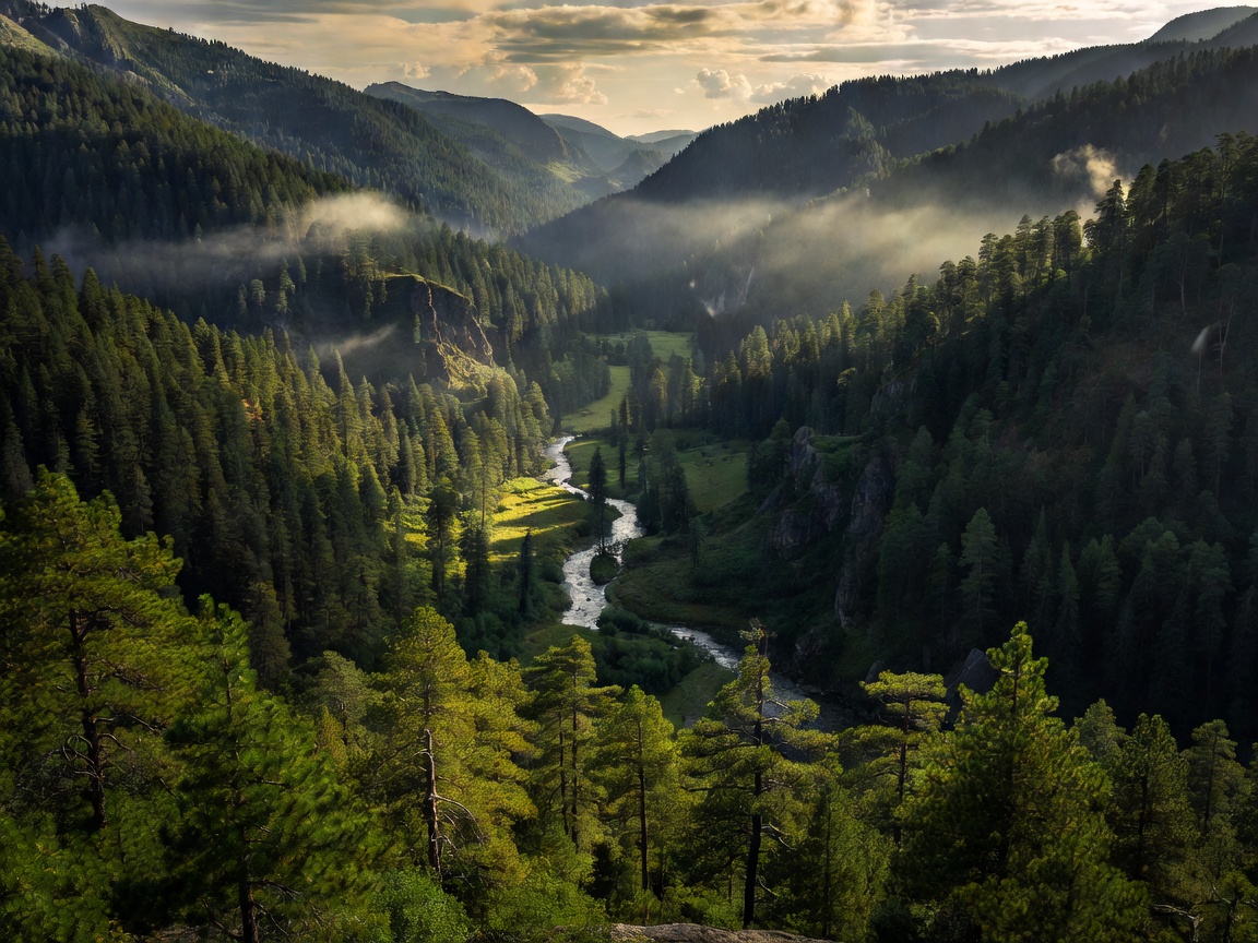 Spectacular surrounding pine valley landscapes